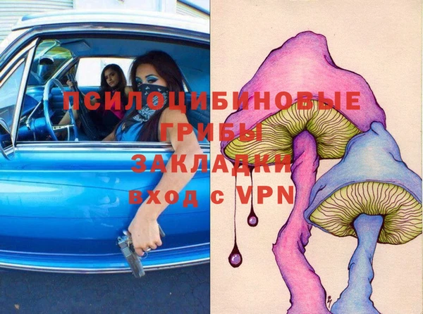 МДПВ Коряжма