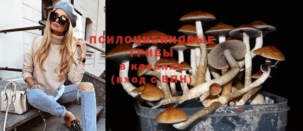 a pvp Костерёво