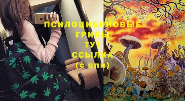 бошки Корсаков
