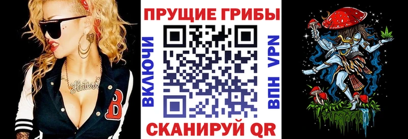 даркнет сайт  Кудрово  Псилоцибиновые грибы Cubensis 
